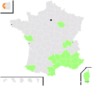 Psilurus incurvus (Gouan) Schinz & Thell. - carte de répartition