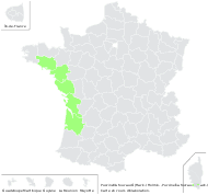 Puccinellia foucaudii (Hack.) Holmb. - carte de répartition