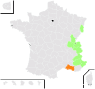 Crepis aurea (L.) Cass. subsp. aurea - carte de répartition