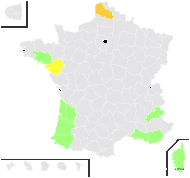 Setaria tejucensis (Nees) Kunth - carte de répartition