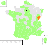 Andropogon dubitatus Steud. - carte de répartition