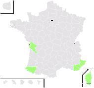 Stenotaphrum sarmentosum Nees - carte de répartition