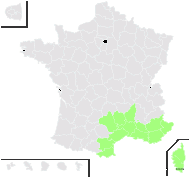 Agrostis bromoides L. - carte de répartition