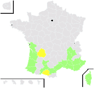 Crepis bursifolia L. - carte de répartition