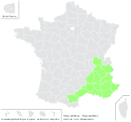 Stipa capillata L. - carte de répartition