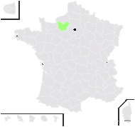 Jarava plumosa (Spreng.) Jacobs & Everett - carte de répartition