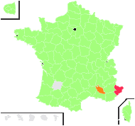 Crepis gaditana Boiss. - carte de répartition