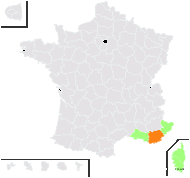 Koeleria panicea (Lam.) Domin - carte de répartition