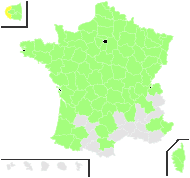 Triticum sativum Lam. - carte de répartition