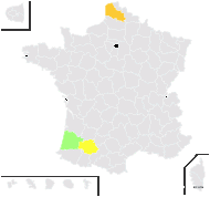 Mygalurus alopecuroides Link - carte de répartition