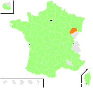 Festuca myuros var. sciuroides (Roth) Kuntze - carte de répartition