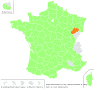 Vulpia bromoides (L.) Gray - carte de répartition