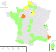 Vulpia fasciculata (Forssk.) Fritsch - carte de répartition