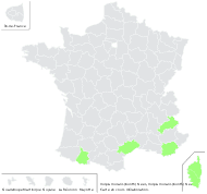 Vulpia myuros subsp. longiaristata (Willk.) Hayek - carte de répartition