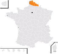 Ammophila ×baltica (Flügge ex Schrad.) Link - carte de répartition