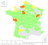 Potamogeton gramineus L. - carte de répartition