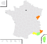 Barkhausia leontodontoides (All.) Spreng. - carte de répartition