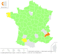 Potamogeton perfoliatus L. - carte de répartition