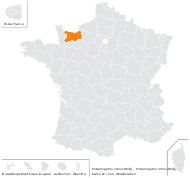 Potamogeton rutilus Wolfg. - carte de répartition