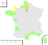 Ruppia maritima var. spiralis (L. ex Dumort.) Moris - carte de répartition