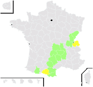 Hieracium molle Jacq. - carte de répartition