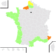 Zostera marina L. - carte de répartition