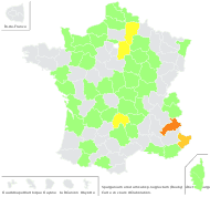 Sparganium erectum subsp. neglectum (Beeby) K.Richt. - carte de répartition