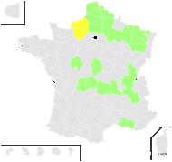 Typha ×glauca Godr. - carte de répartition