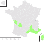Pinus halepensis Mill. subsp. halepensis - carte de répartition