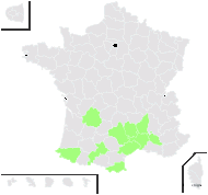 Pinus salzmannii Dunal - carte de répartition