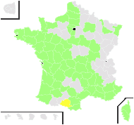 Pinus pinaster Aiton - carte de répartition