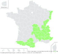 Pinus uncinata Ramond ex DC. - carte de répartition