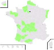 Chamaecyparis lawsoniana (A.Murray) Parl. - carte de répartition