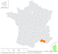 Ptychotis verticillata Duby - carte de répartition