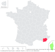 Juniperus oxycedrus subsp. macrocarpa (Sm.) Ball - carte de répartition