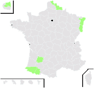 Salisburia adiantifolia Sm. - carte de répartition