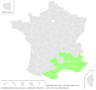 Ephedra scoparia Lange - carte de répartition