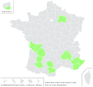 Cedrus libani A.Rich. - carte de répartition