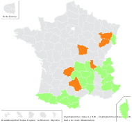 Cryptogramma crispa (L.) R.Br. - carte de répartition