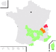 Notholaena squamosa St.-Lag. - carte de répartition