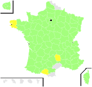 Barkhausia setosa (Haller f.) DC. - carte de répartition