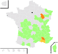 Asplenium csikii Kümmerle & Andras. - carte de répartition