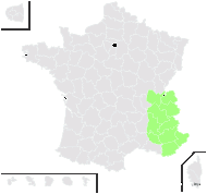 Dryopteris villarii (Bellardi) Woyn. ex Schinz & Thell. - carte de répartition