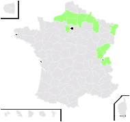 Nephrodium ×uliginosa (A.Braun ex Döll) Rouy - carte de répartition