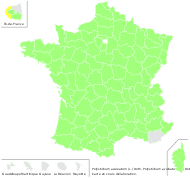Polystichum aculeatum (L.) Roth - carte de répartition