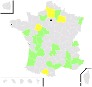 Selinum anethum Roth - carte de répartition