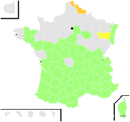 Equisetum ramosissimum var. campanulatum (Poir.) Vaucher - carte de répartition