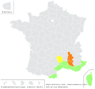 Crepis zacintha (L.) Babc. - carte de répartition