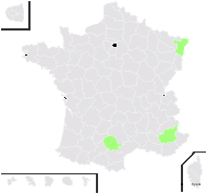 Equisetum ×mackayi (Newman) Brichan - carte de répartition