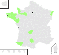 Trichomanes speciosum Willd. - carte de répartition